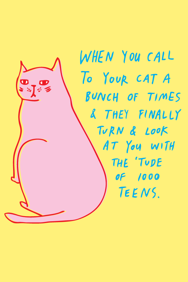 funny cat illustration of a bright pink cat that is giving a look of distain with text that reads when you call to your cat a bunch of times and they finally turn and look at you with the 'tude of 1000 teens funny cat illustration able and game